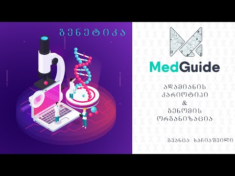 Medguide/მედგიდი - გენეტიკა: ადამიანის კარიოტიპი \u0026 გენომის ორგანიზაცია